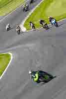 Middle Group Green Bikes